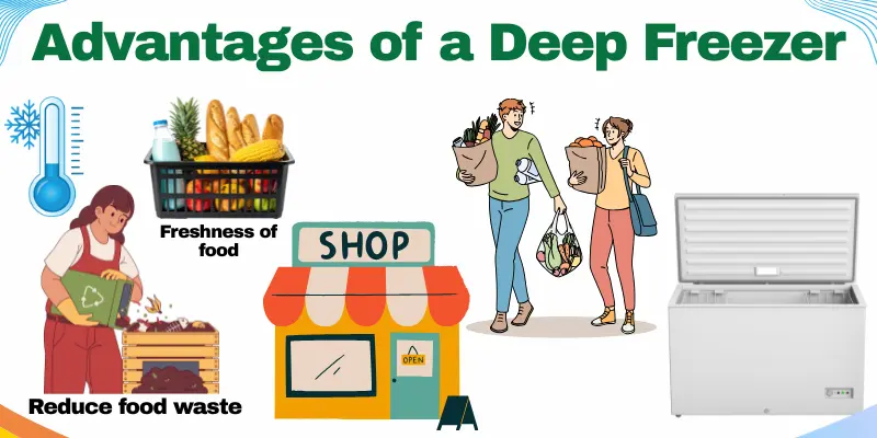 Advantages Of A Deep Freezer An Image Showing Fresh Food, Reduced Food Waste, A Shop, And A Deep Freezer To Explain The Advantages.