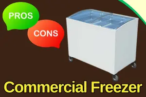 Commercial Deep Freezer Benefits and Drawbacks You Need to Know
