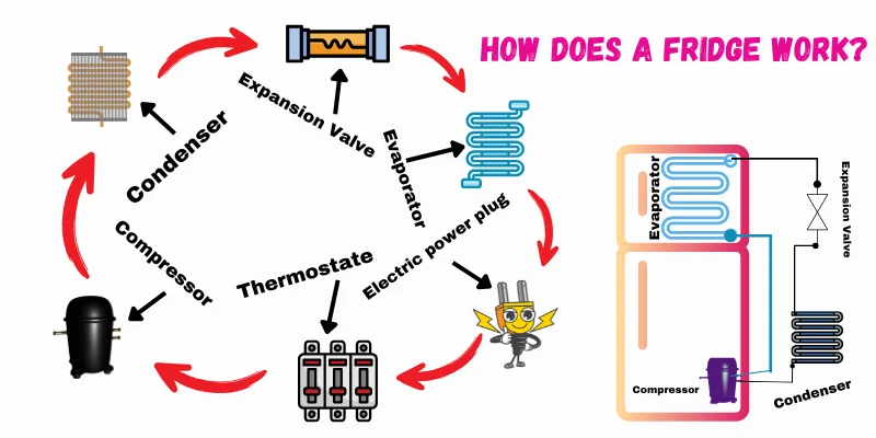 How Does A Fridge Work Diagram Of A Fridge'S Working Cycle With Labeled Components And Arrows Indicating The Process.