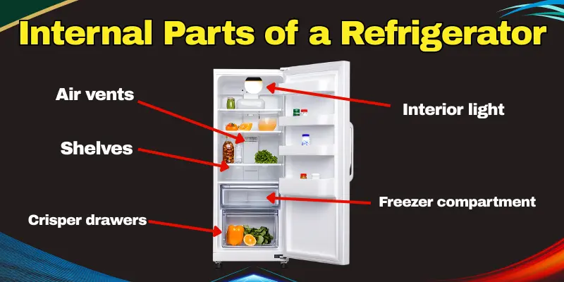 Internal Parts Of A Refrigerator Inside View Of A Refrigerator Showing Internal Parts