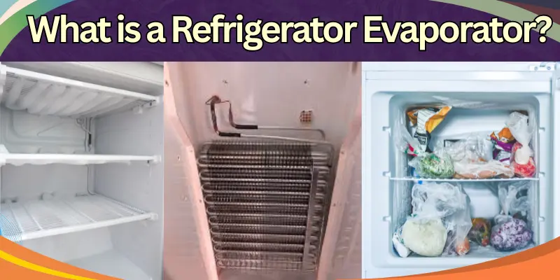  Image Showing The Inside Of A Refrigerator With The Evaporator Area, Freezer Shelves, And Cooling Coils To Help Explain How A Refrigerator Evaporator Works.
